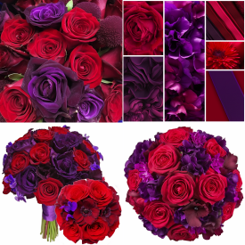 \"Red-Purple